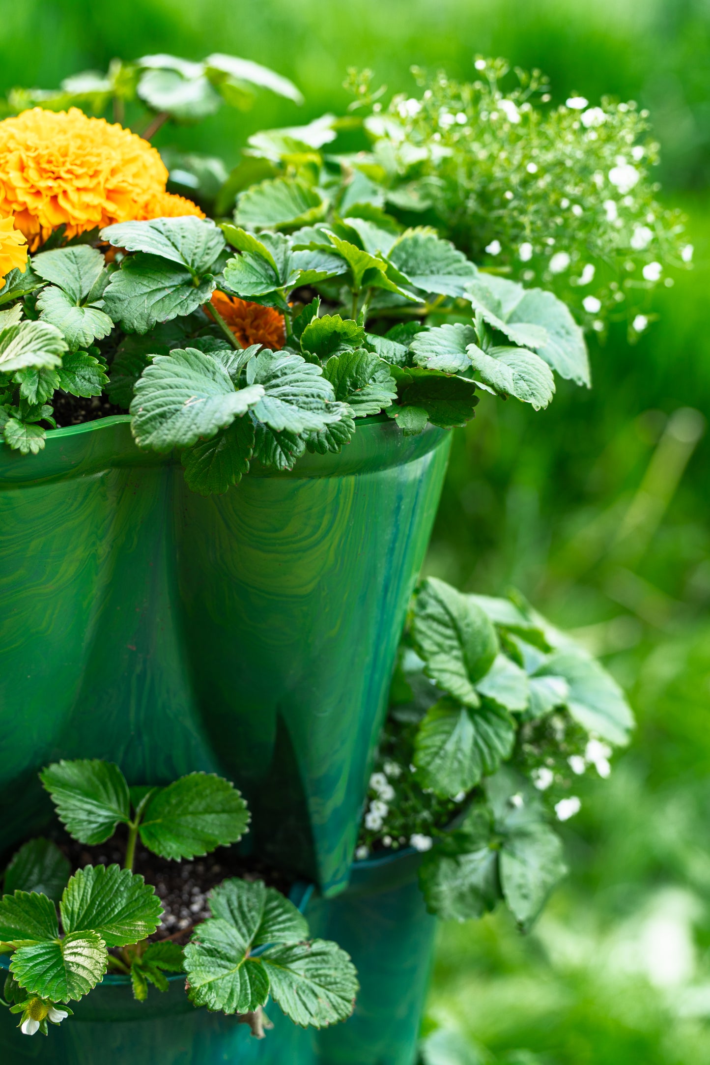 Growing Tower (3-piece set)- 100% Recycled Ocean Plastic