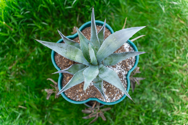 Growing Tower (3-piece set)- 100% Recycled Ocean Plastic