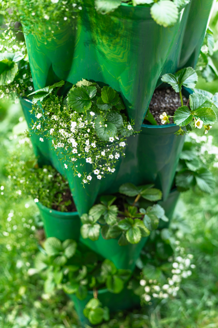 Growing Tower (3-piece set)- 100% Recycled Ocean Plastic